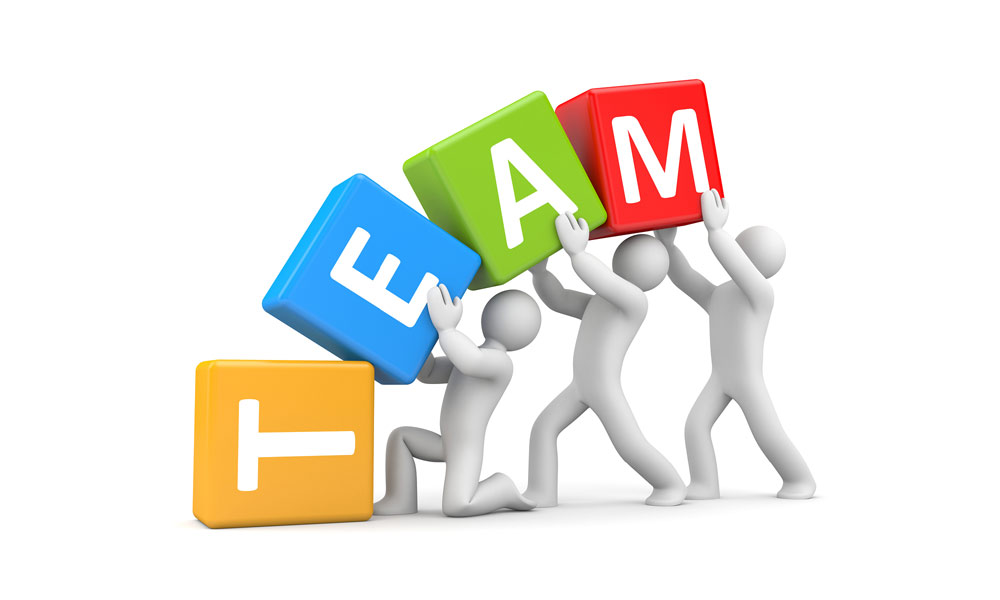 Our Team